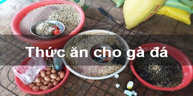 Thức ăn cho gà đá - nhóm thức ăn chính