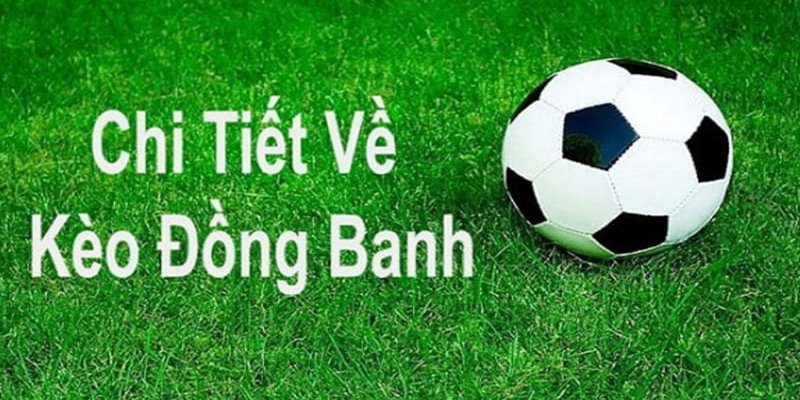 Kinh nghiệm cá cược kèo đồng banh hiệu quả nhất