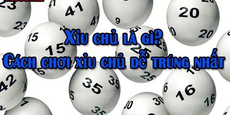 Giải thích xỉu chủ là gì